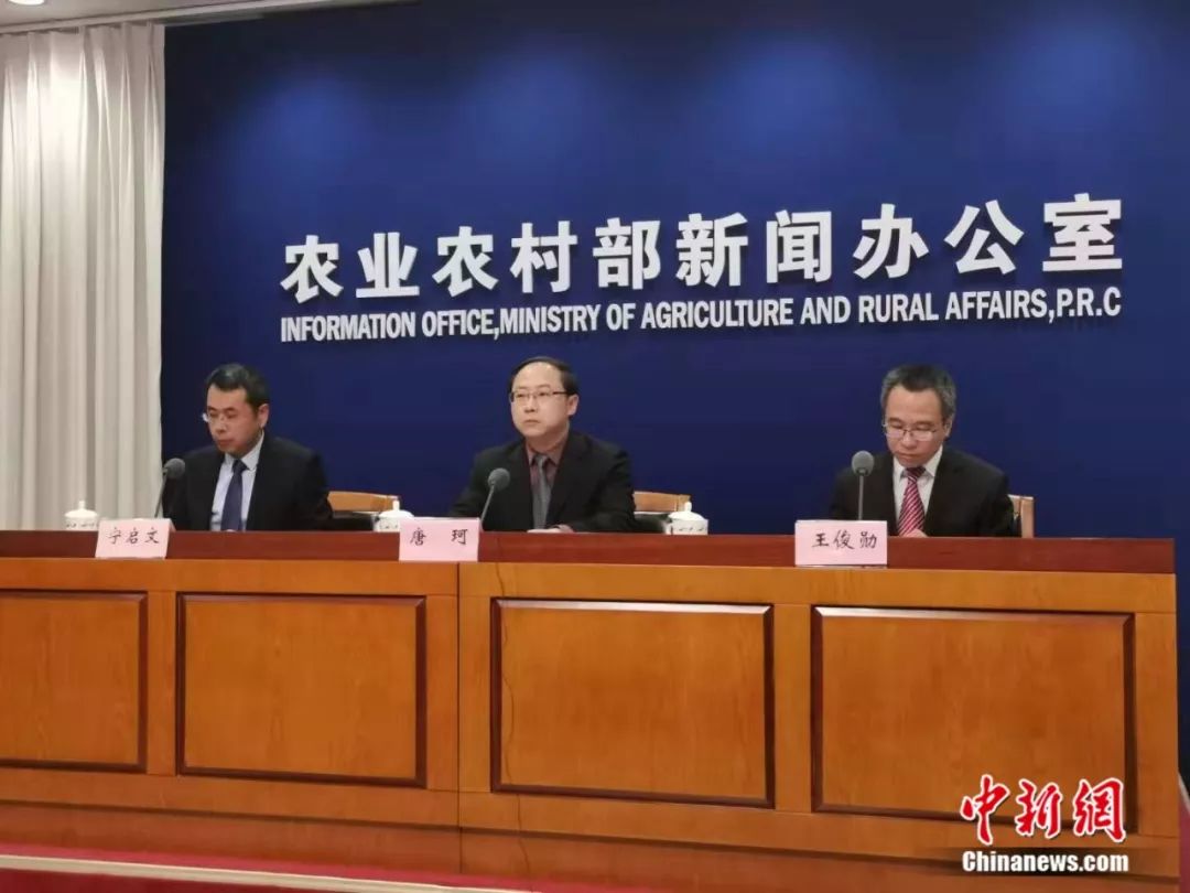 春節豬肉、蔬菜、水果會集體漲價?農業農村部回應