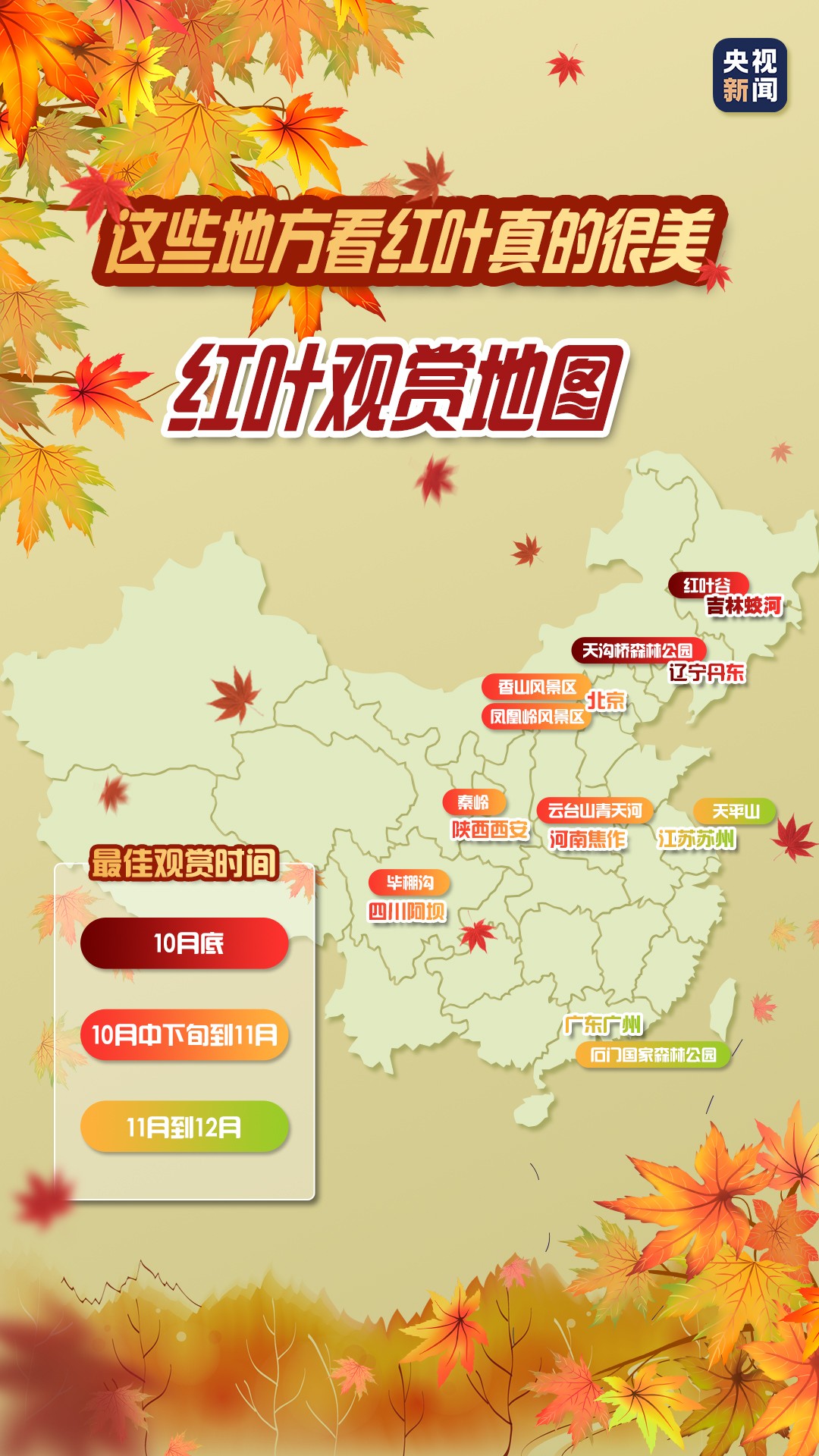 一葉知秋！帶上這份地圖，定制專屬于你的紅葉觀賞地
