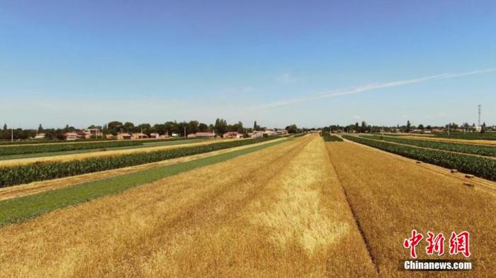 全球還有6.9億人在挨餓！我們該如何端牢飯碗？