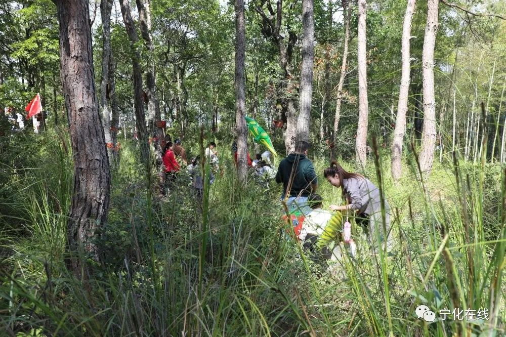 【鄉村振興】石壁鎮第二屆商貿旅游節圓滿落幕，快來圍觀！
