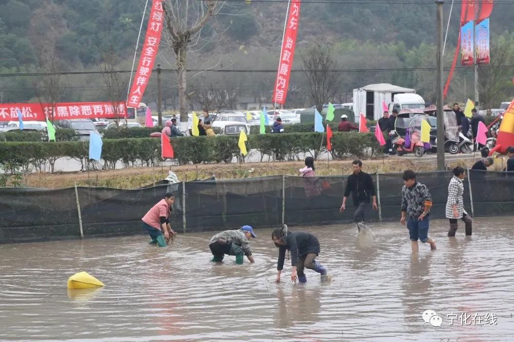【中國綠都·最氧三明】寧化安遠(yuǎn)鎮(zhèn)舉行第二屆文化旅游節(jié)