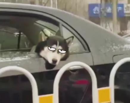 人為什么會(huì)暈車？暈動(dòng)病的原因及癥狀，預(yù)防暈車的6個(gè)小妙招