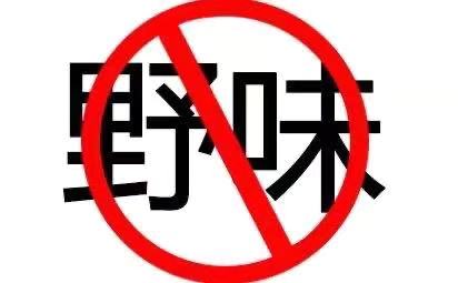 懲治亂捕濫食野生動物行為需完善立法加強執法