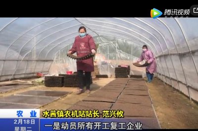 水茜鎮(zhèn)：春耕備耕忙 播種育苗正當(dāng)時(shí)