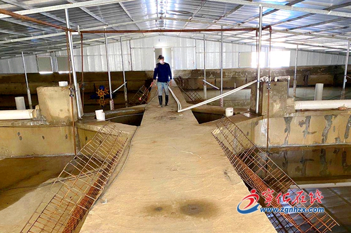 寧化安遠鎮：加快養殖業復工復產