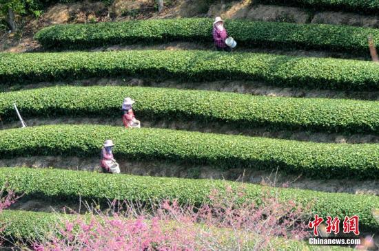 農業農村部：精準穩妥推進農村中小微企業復工復產