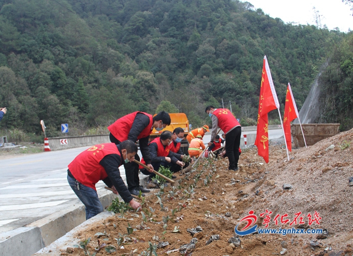 寧化：義務植樹 建設生態公路