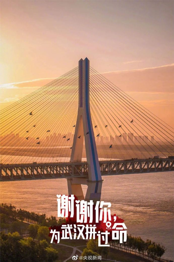 謝謝你為湖北拼過命!武漢最美的風景 送給最好的你