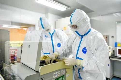 最高135元！黑龍江新冠病毒核酸檢測價格出爐 5月12日起執(zhí)行