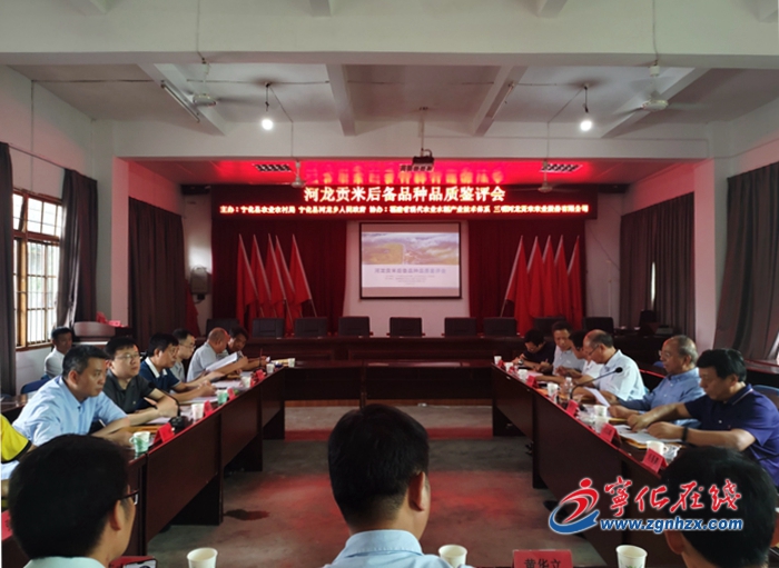 寧化舉辦第二屆河龍貢米后備品種品質(zhì)鑒評會