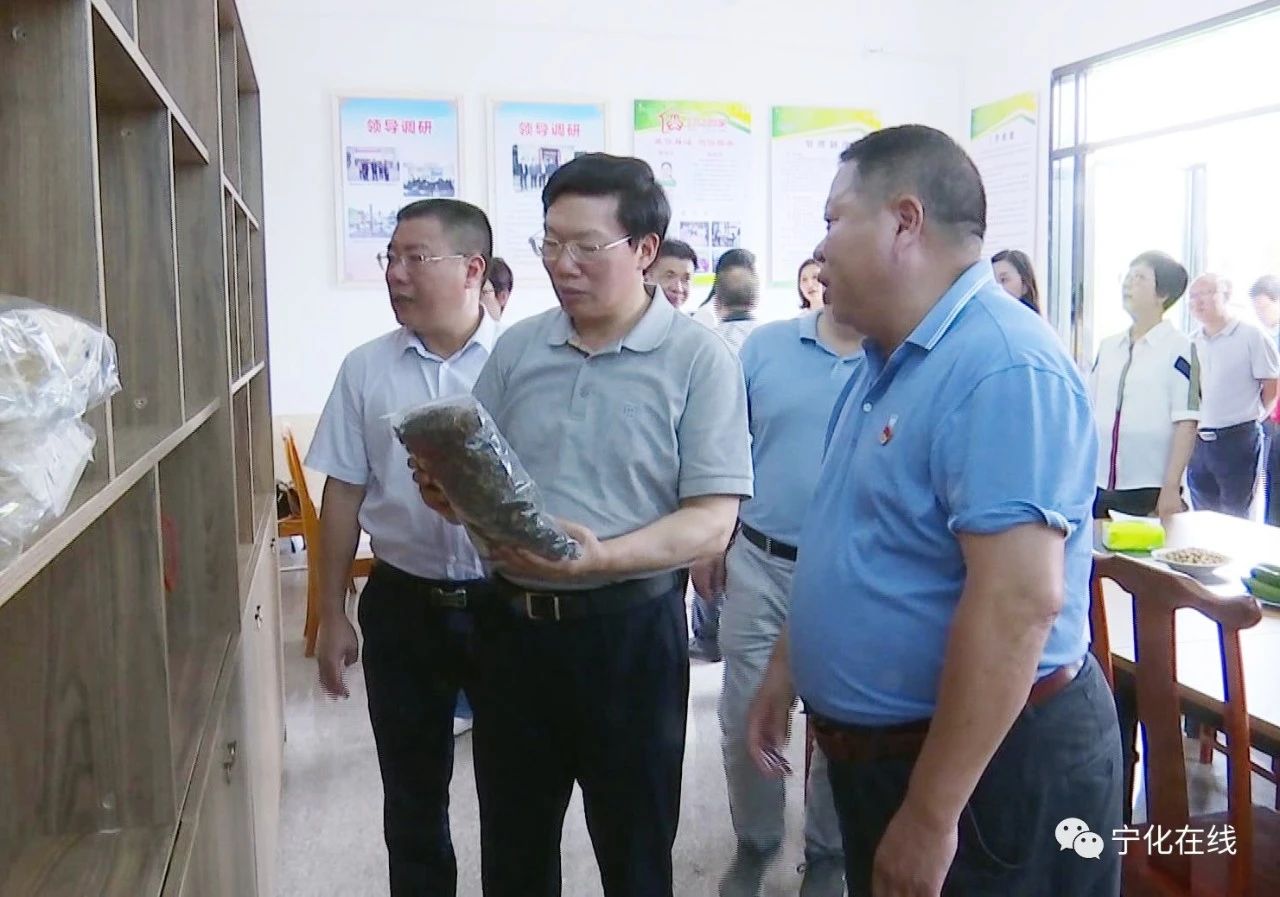 省人大常委會調(diào)研組來寧開展代表建議督辦工作調(diào)研