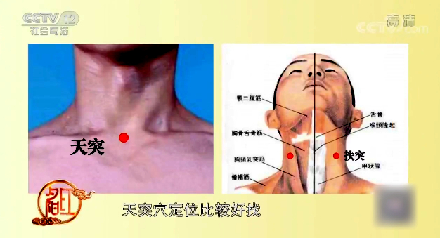 【快看·健康】緩解咽喉痛、咽干不適 喉部按摩你會嗎？