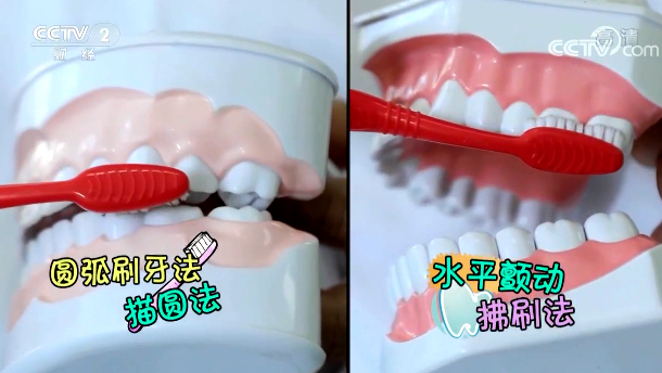 【快看·健康】簡單易學 兒童刷牙方式學起來