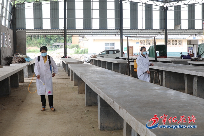 【滿意在三明】寧化曹坊鎮：除“四害”優化人居環境