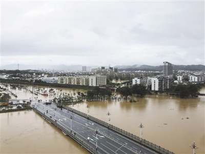 洪水來了，為啥要給它編號？