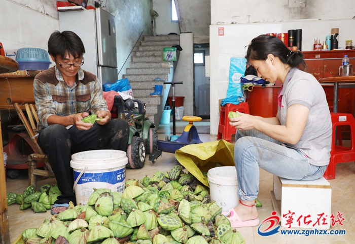 【小康來敲門】紅土地上蓮花香