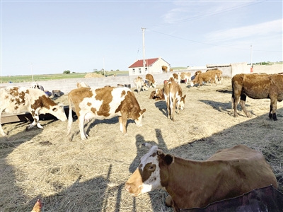 地圖隨意畫圈… "新調(diào)整"能終結自然保護區(qū)亂象?