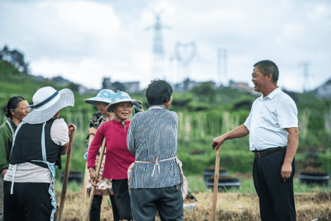 在這個“戰場”,他們大顯身手!