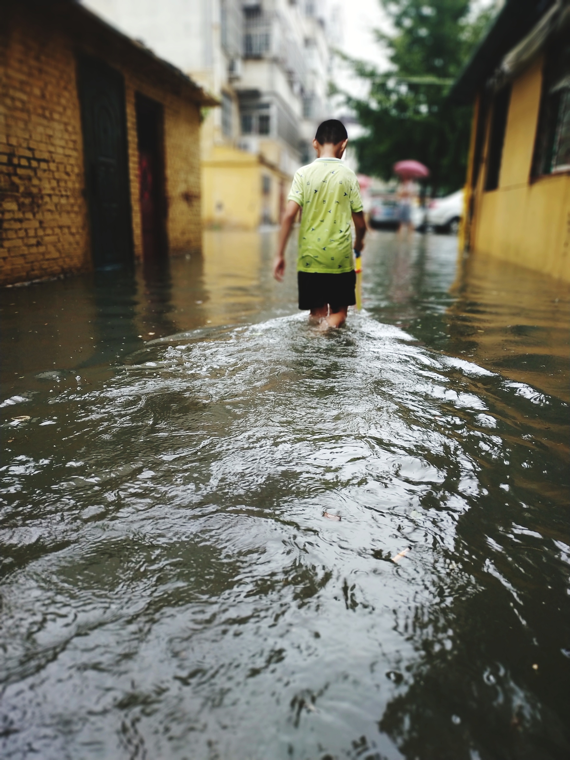 洪水過后 醫(yī)生提醒這些傳染病需防范
