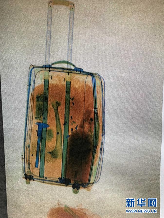 （圖文互動）（2）黑龍江一男子走私虎骨被判5年