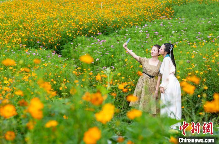 0元、1元…超級黃金周搶人大戰開啟！你準備去哪？