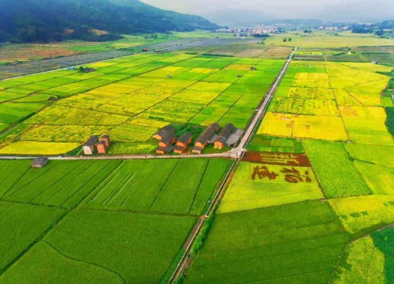 福建：深化改革有“三度” 改出發(fā)展“加速度”