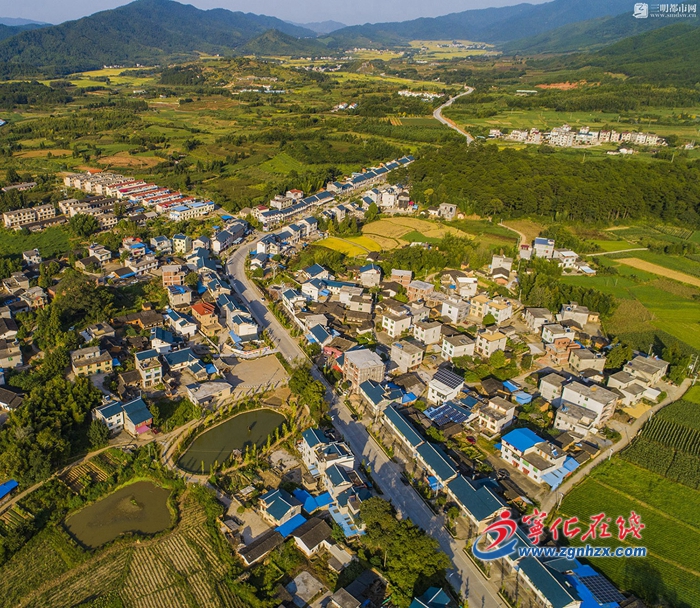 【鄉村振興】寧化龍頭村：帶頭奏響鄉村振興“四部曲”