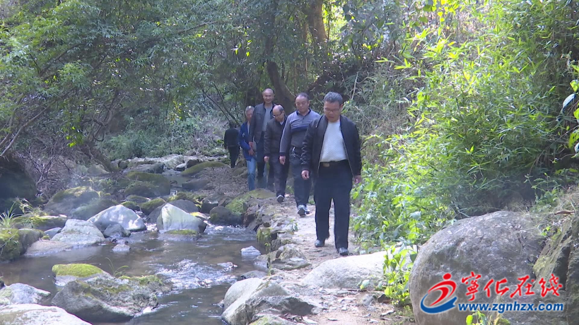 【滿意在三明】快來圍觀！寧化舉辦首屆森林康養文化旅游節