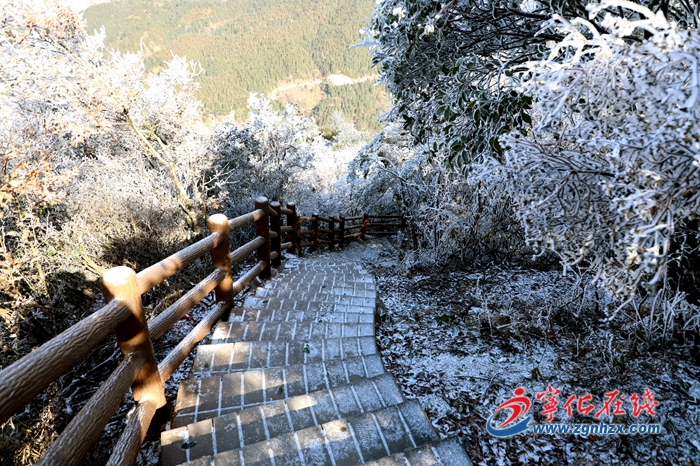 【中國綠都 最氧三明】超美！寧化這里的霧凇美景簡直美呆了！
