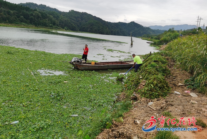 寧化城南：集中開展水葫蘆專項(xiàng)打撈行動(dòng)