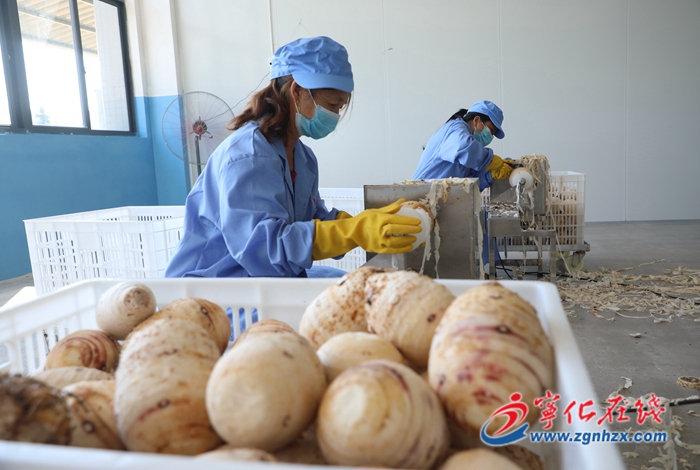 寧化：農(nóng)副產(chǎn)品加工及冷鏈配送一體化建設(shè)項目投入生產(chǎn)