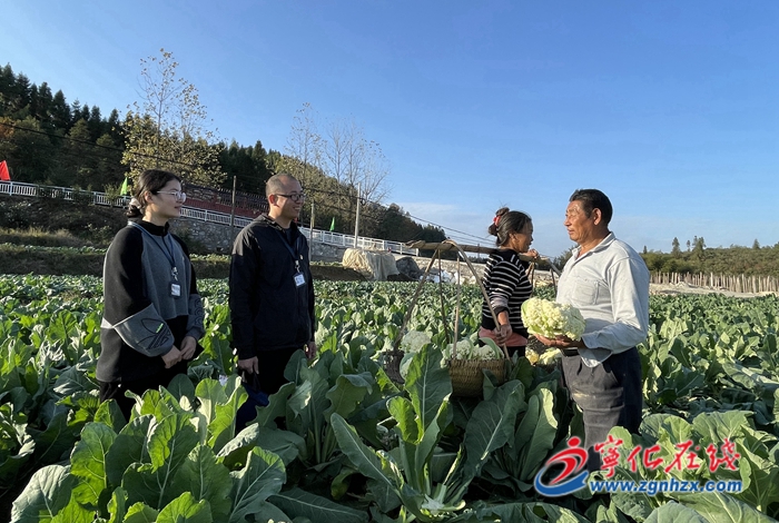 寧化：紀檢干部田間地頭聽民聲