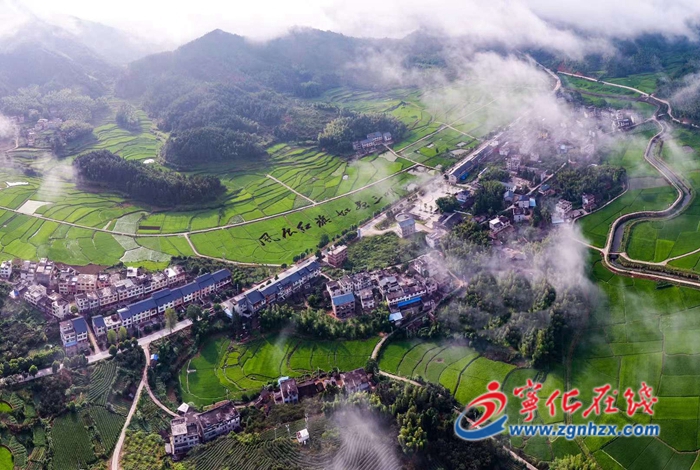 政府工作報(bào)告解讀|今后五年主要目標(biāo)，堅(jiān)持生態(tài)優(yōu)先，打造綠色田園