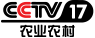 cctv17