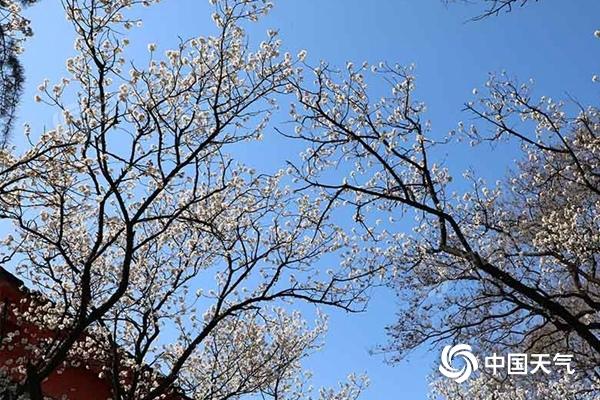 我國多地氣溫將創今年來新高 周末升溫至頂點