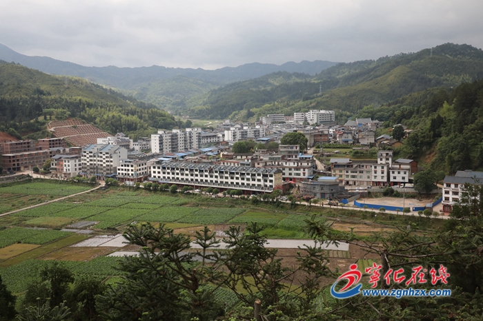 寧化治平：畬鄉通路竹海致富