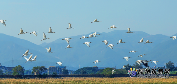 閩江河口濕地亮相央視！福州這張生態(tài)名片是這樣打造的……