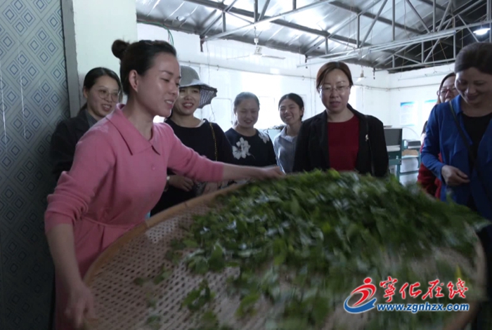 寧化：親近大自然 感受茶文化