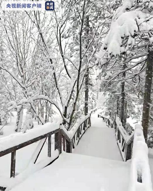夏季飄雪！黑龍江又下雪了→