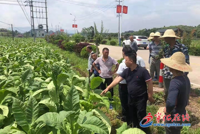 寧化淮土鎮：遭受暴雨襲擊，全力開展生產自救