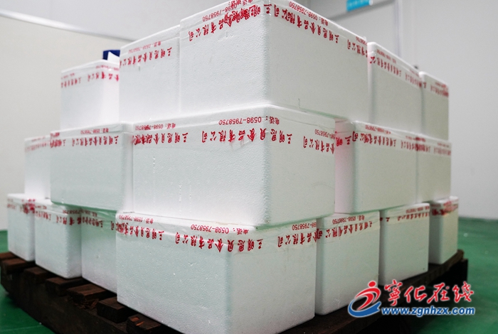 寧化：鄉賢回歸辦實業