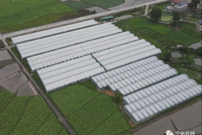 《沿著高速看中國》——“莆炎高速”直播特別節目在寧化引起熱烈反響