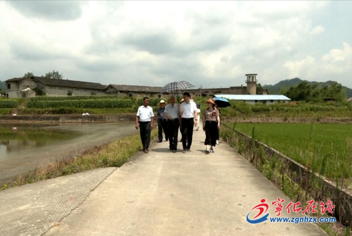 中國科學院院士謝聯(lián)輝來寧化考察