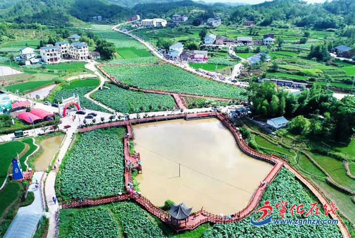 黨旗在基層一線高高飄揚|團結就是力量！寧化縣淮土鎮團結聯村聯出鄉村振興新動力