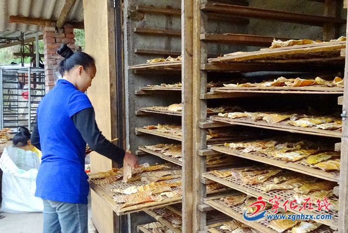 安樂：國(guó)家級(jí)合作社鼓足竹農(nóng)“錢袋子”