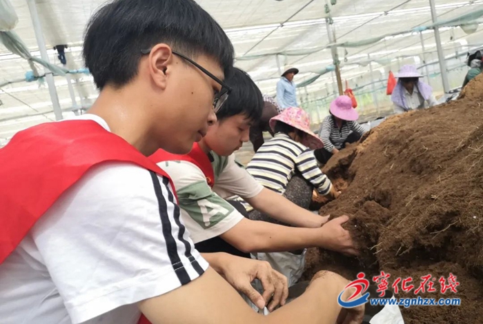 福建師范大學在寧開展“三下鄉(xiāng)”活動