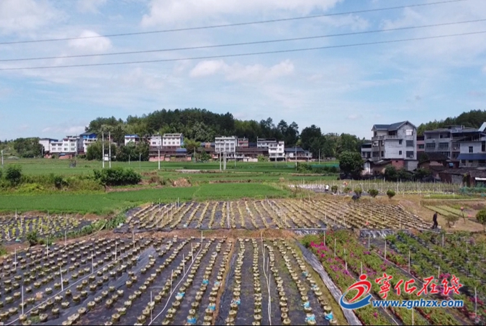 淮土鎮：引入園林企業 助力鄉村振興