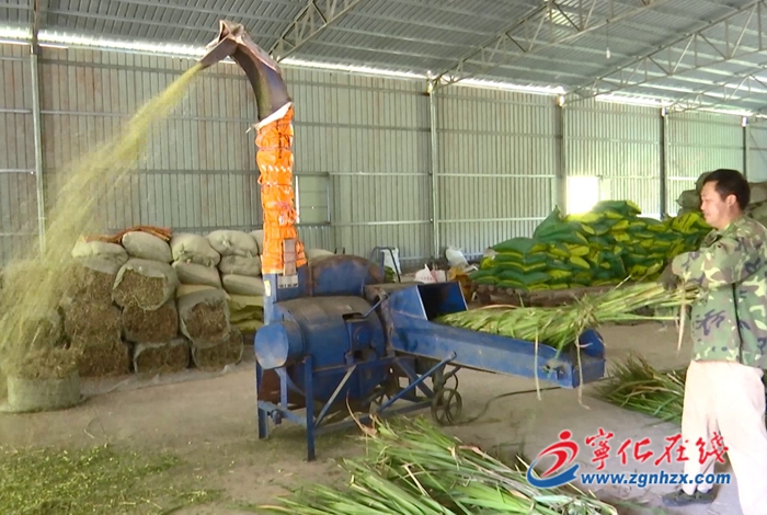 淮土鎮：共同富裕取得新進步