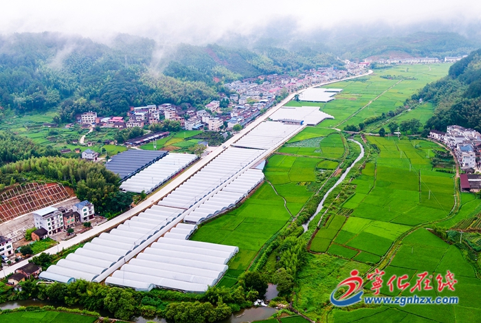 安樂鎮：發展特色產業 描繪富美新畫卷