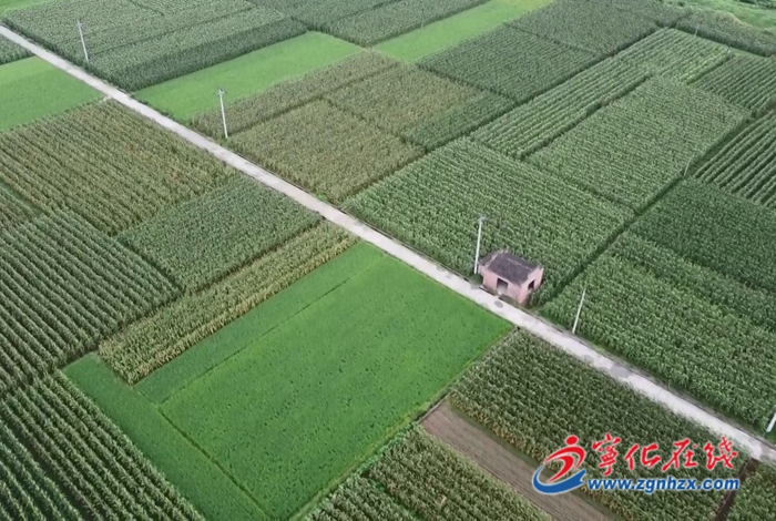 治平畬族鄉：立足資源優勢 打造特色畬鄉